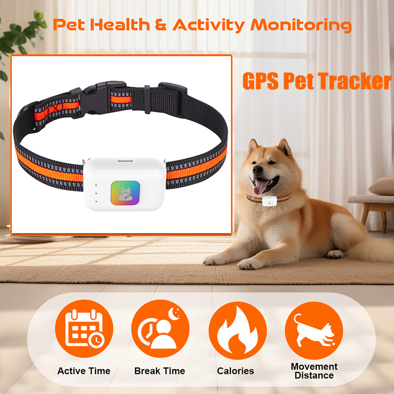 Pet Gps Tracker Collar - جهاز تتبع نظام تحديد المواقع AGPS