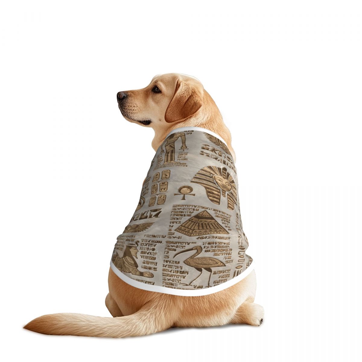 Pet Supplies Egypt - الهيروغليفية المصرية والآلهة سترات الحيوانات الأليفة