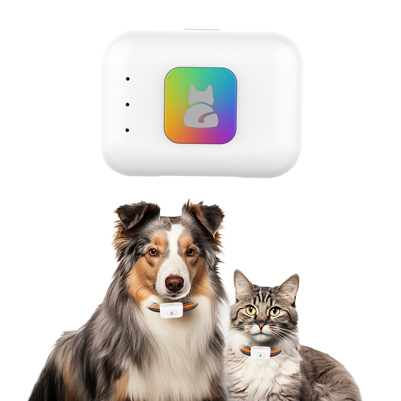 جهاز تتبع نظام تحديد المواقع A - مراجعة Pet Gps Tracker Collar وسعره