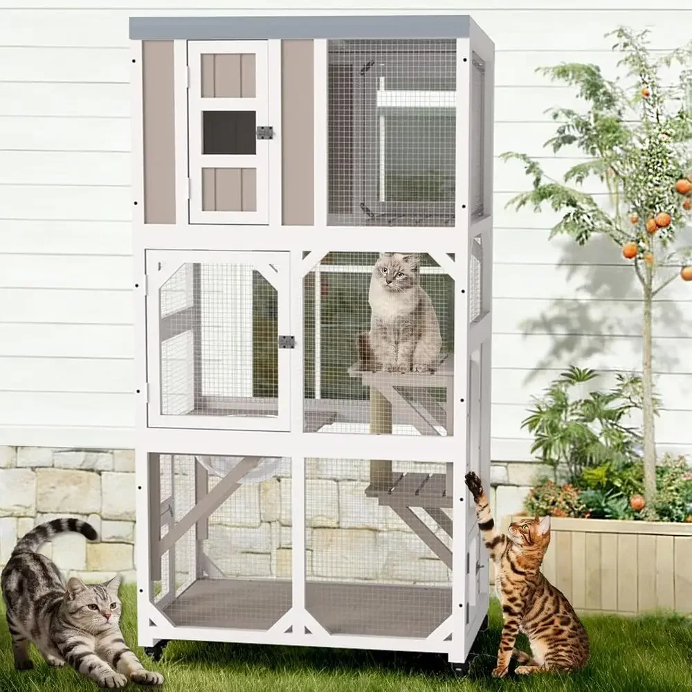 قفص قطط خارجي بعجلات، مع نافذة - مراجعة Cat Scratching Post وسعره