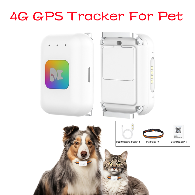 جهاز تعقب الحيوانات الأليفة بن - مراجعة Pet Gps Tracker Collar وسعره