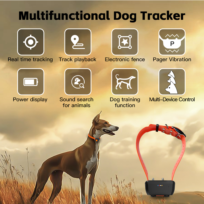 خاص واي فاي مقاوم للماء لتحديد - مراجعة Pet Gps Tracker Collar وسعره