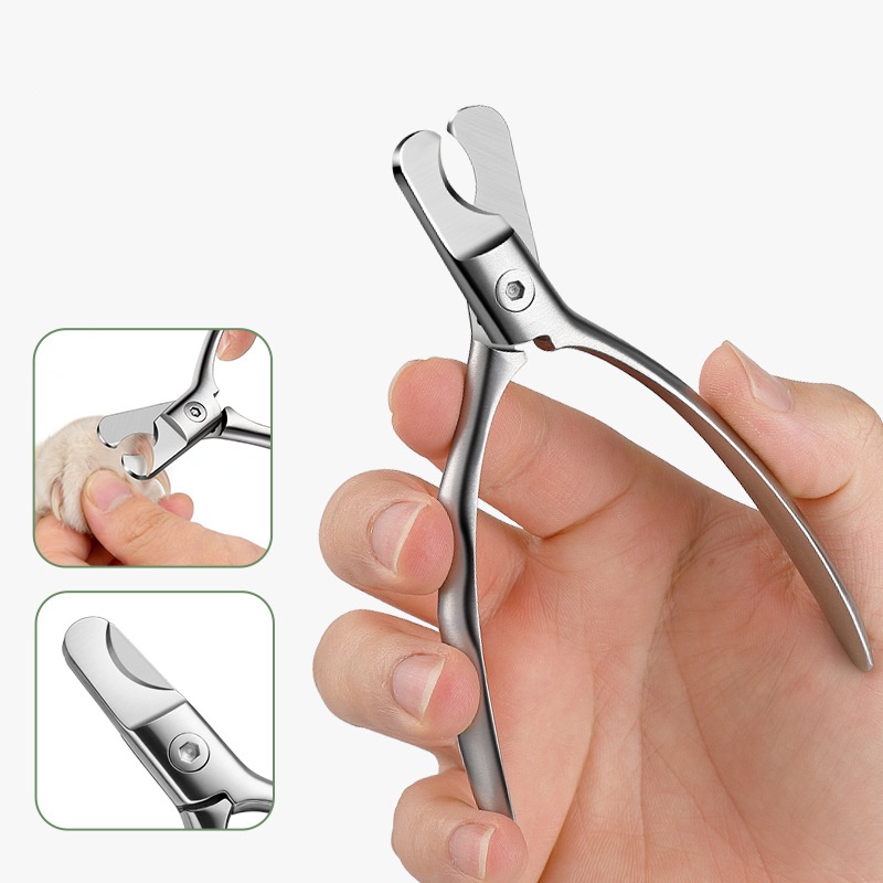 مقص أظافر احترافي للحيوانات ال - مراجعة Pet Nail Grinder وسعره