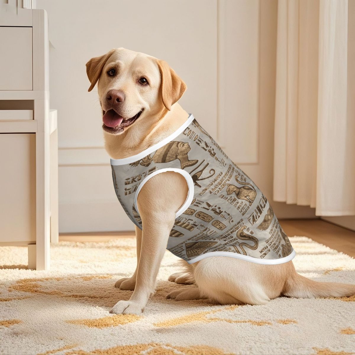 الهيروغليفية المصرية والآلهة س - مراجعة Pet Supplies Egypt وسعره