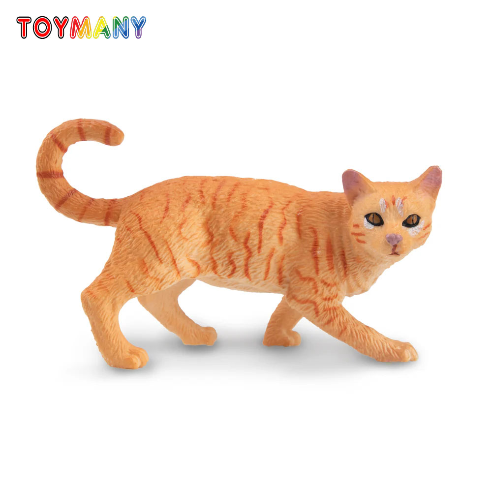 Toymany محاكاة تجول البرتقال ا - مراجعة Pet Supplies Delivery وسعره