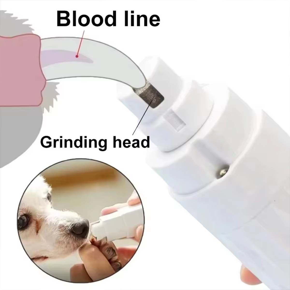جهاز كهربائي لتقليم أظافر الحي - مراجعة Pet Nail Grinder وسعره