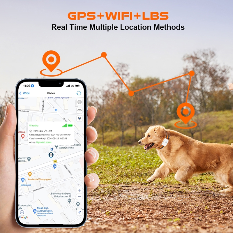 جهاز تعقب الحيوانات الأليفة GP - مراجعة Pet Gps Tracker Collar وسعره