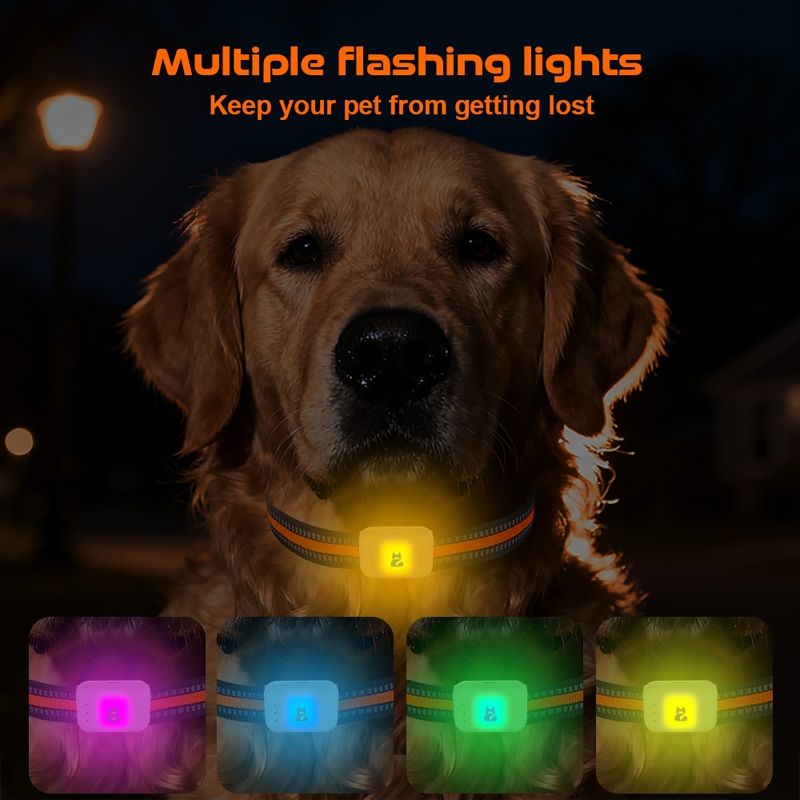 جهاز تعقب الحيوانات الأليفة GP - مراجعة Pet Gps Tracker Collar وسعره