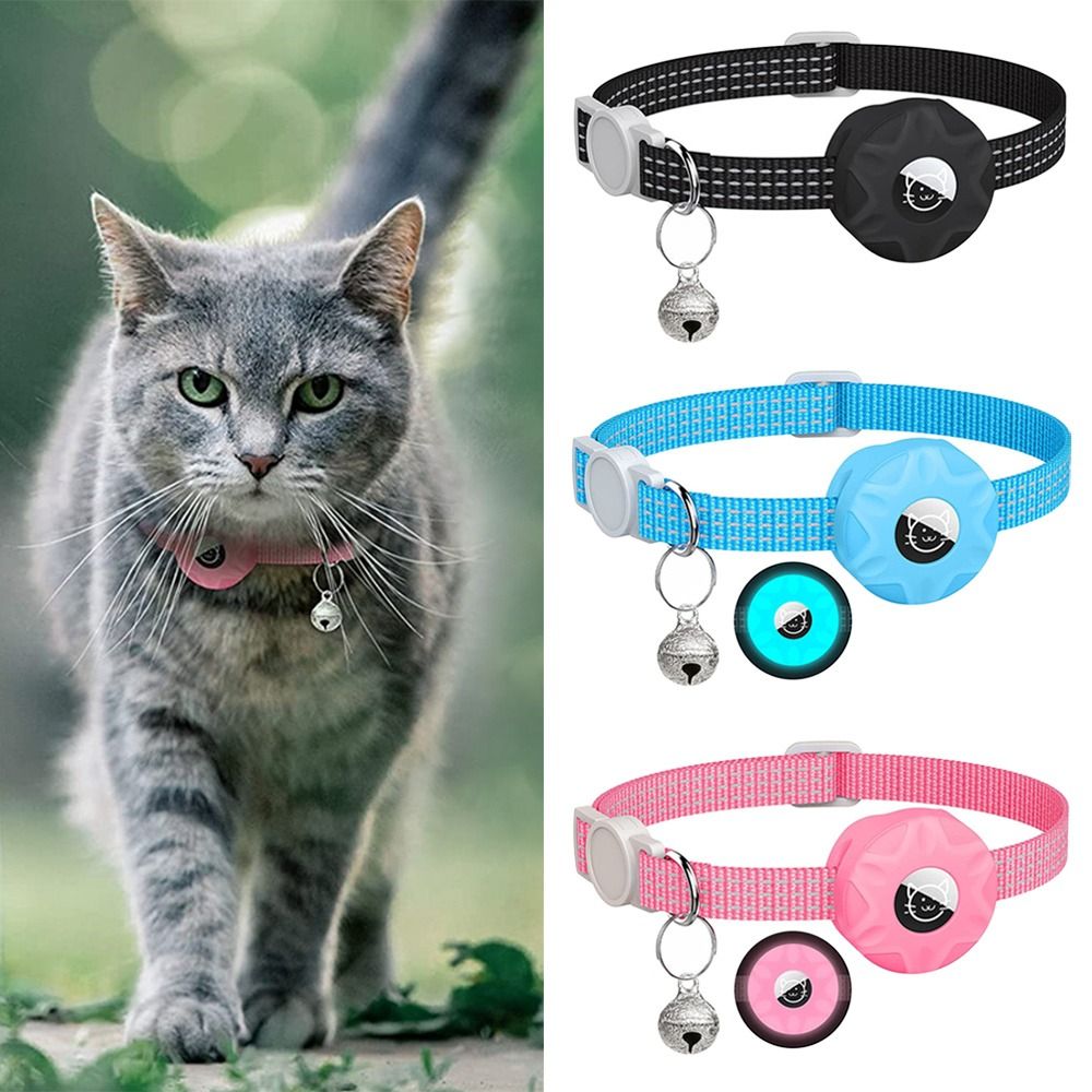 طوق الحيوانات الأليفة مع صندوق - مراجعة Pet Gps Tracker Collar وسعره