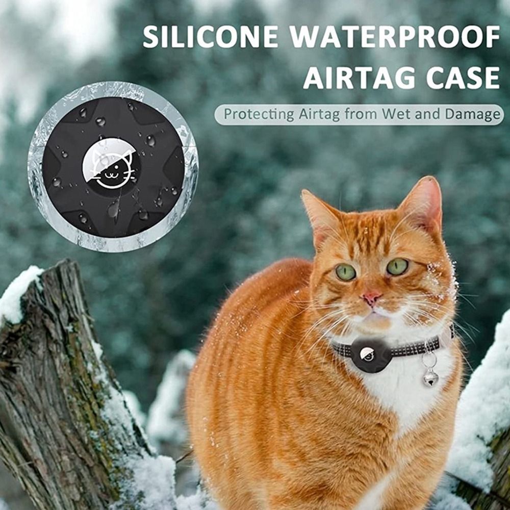 طوق الحيوانات الأليفة مع صندوق - مراجعة Pet Gps Tracker Collar وسعره