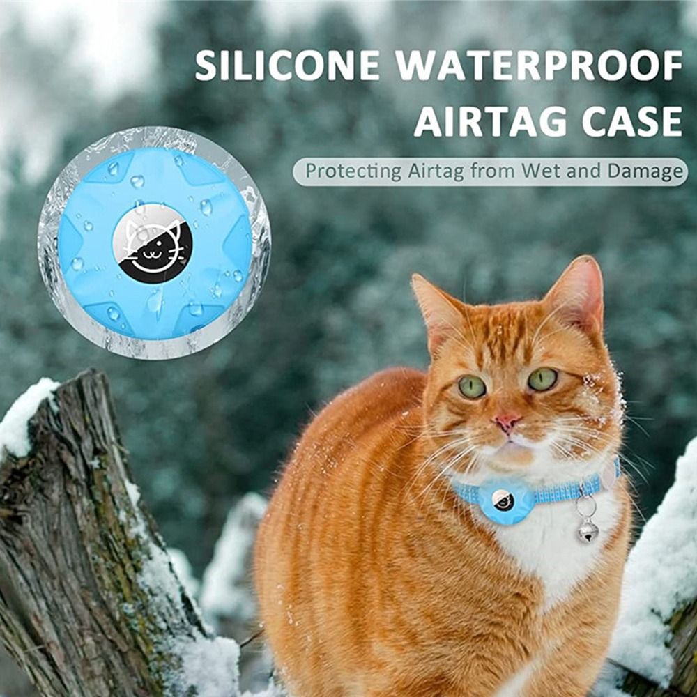 طوق الحيوانات الأليفة مع صندوق - مراجعة Pet Gps Tracker Collar وسعره