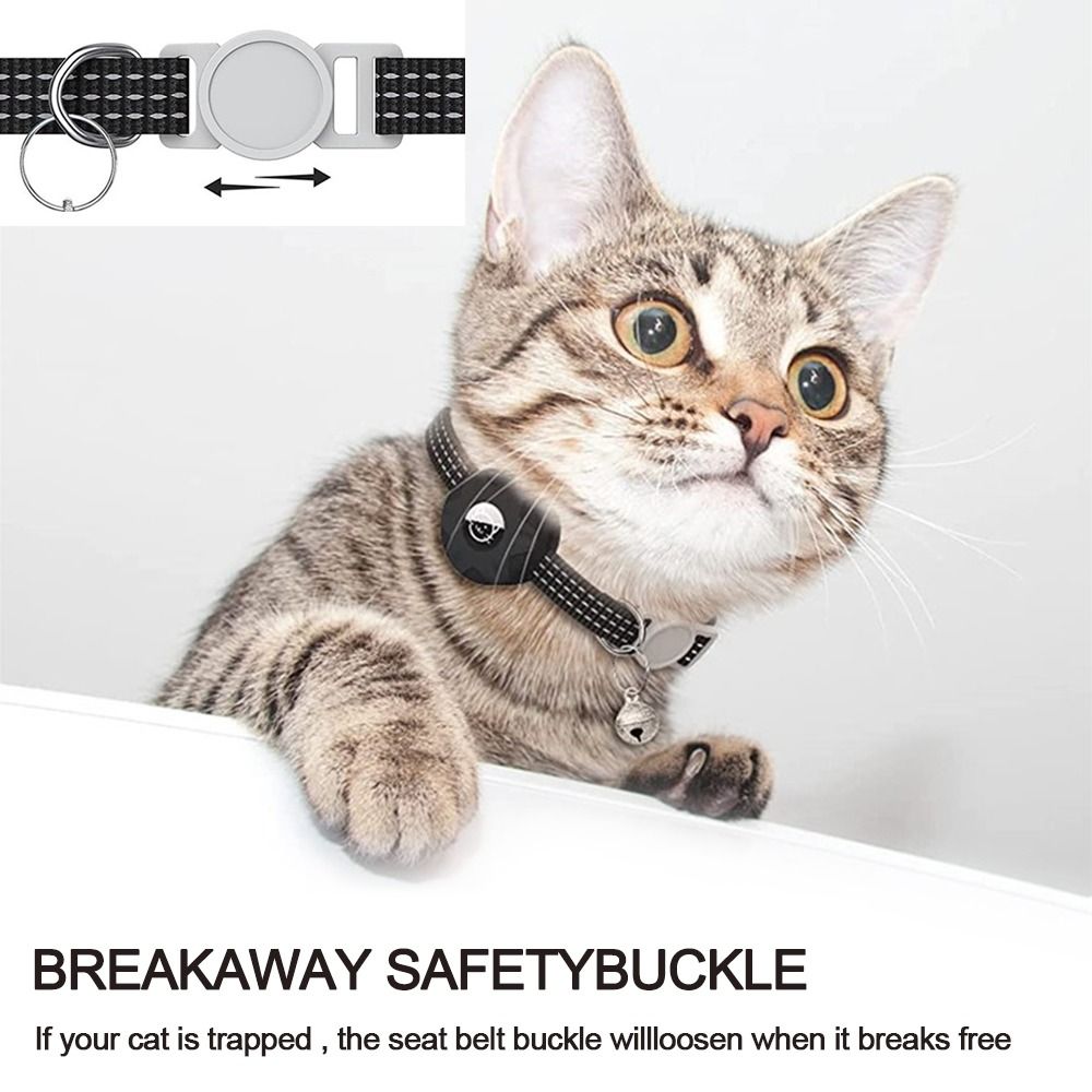 طوق الحيوانات الأليفة مع صندوق - مراجعة Pet Gps Tracker Collar وسعره